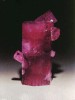 beryl_red.jpg