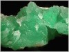 chrysophase320.jpg