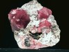 garnet_red.jpg