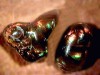agate_fire320.jpg