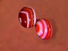 sardonyx320.jpg
