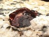 zircon_red.jpg