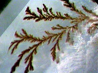 agate_dendritic320.jpg, 20829 bytes, 9/5/00