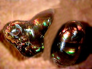 agate_fire320.jpg, 17135 bytes, 9/4/00