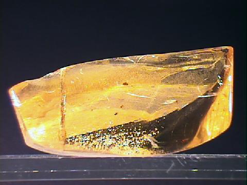 amber.jpg, 25976 bytes, 9/4/00