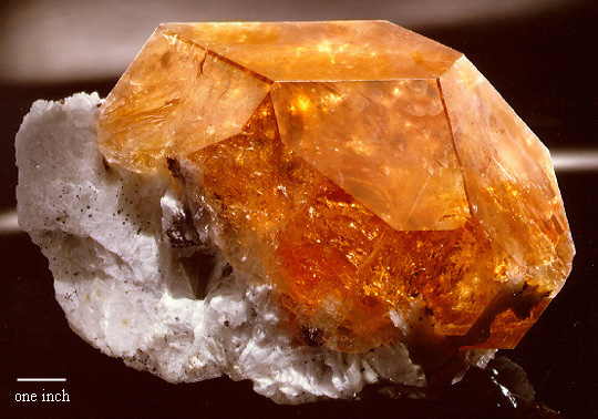 beryl_golden.jpg, 114046 bytes, 9/4/00