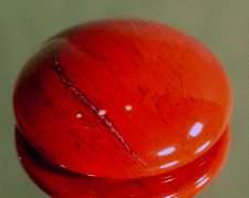 jasper320.gif, 26502 bytes, 9/6/00