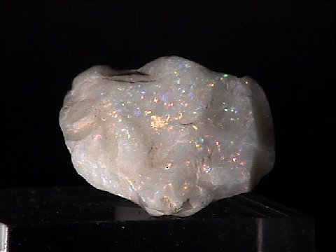 opal.jpg, 21667 bytes, 9/4/00