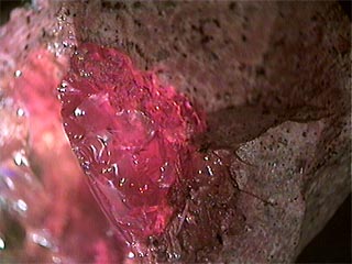 opal_fire.jpg, 19859 bytes, 9/4/00