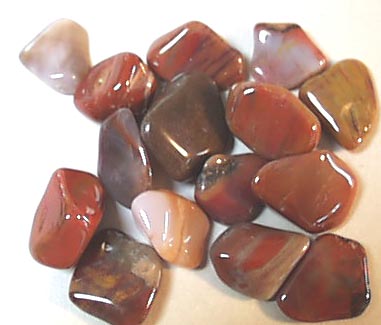 petrified_wood.jpg, 20892 bytes, 9/5/00