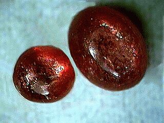 sunstones320.jpg, 23776 bytes, 9/6/00