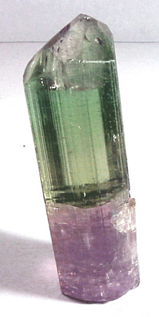 tourmaline_bicolor.jpg, 38715 bytes, 9/4/00